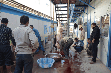 �н�䓘�(g��u)��·���(xi��ng)Ŀ�r(n��ng)�񹤳Ԛ��i�